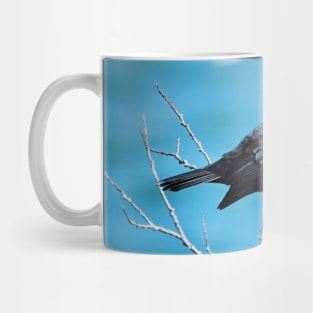 Red-winged Blackbird Calling With Its Beak Wide Opened Mug